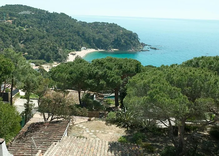 Villa Els Avis